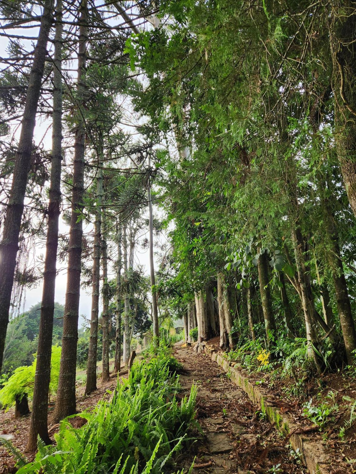 Pousada La Na Roca Paraisópolis Exteriör bild
